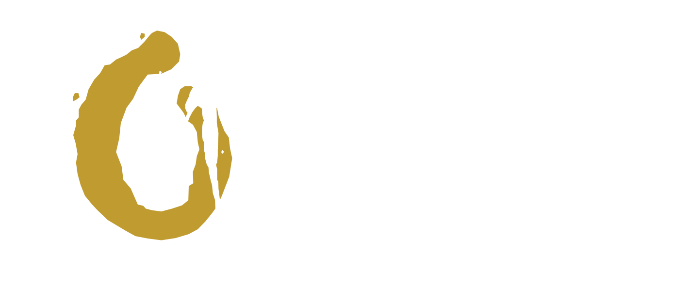 Maja Security Logo